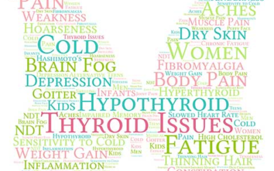 Your Thyroid: Food, Help & Testing