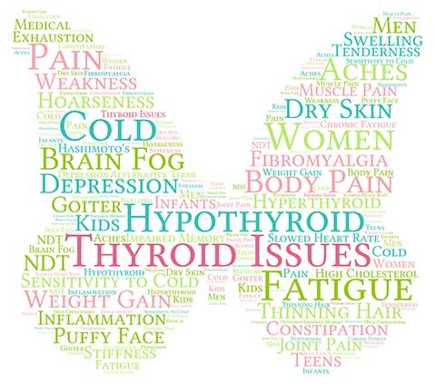 Your Thyroid: Food, Help & Testing